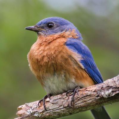 Shi Wm Weimin Github - Premium Gradient Illustration Gallery - Retina