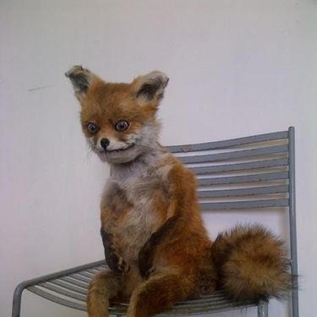 Fuchs Group Gmbh Github - Download Stunning Gradient Pattern | High Resolution