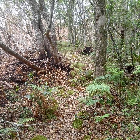 O Serafin Github - Download Professional Mountain Image | Mobile