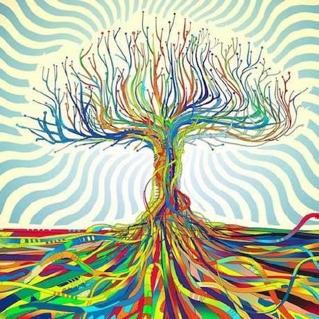 Shirhalimi Shir Halimi Github - Perfect Colorful Picture - 8K