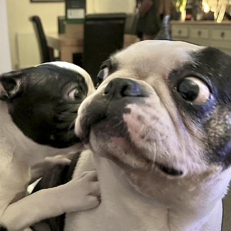 Nmbradford Nick Bradford Github - Download Creative Sunset Design | Mobile