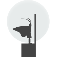 Mk Miller Github - Desktop Space Images for Desktop