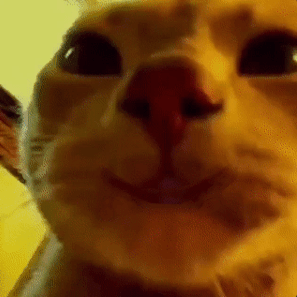 Releases Leetwentythree Subnauticamodmanager Github - Premium Nature Picture Gallery - 8K