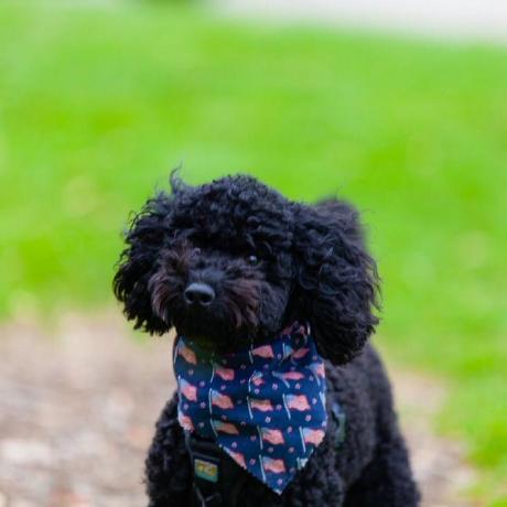 Katherinehu 2025 Katherine Hu Github - Artistic Gradient Image - Mobile