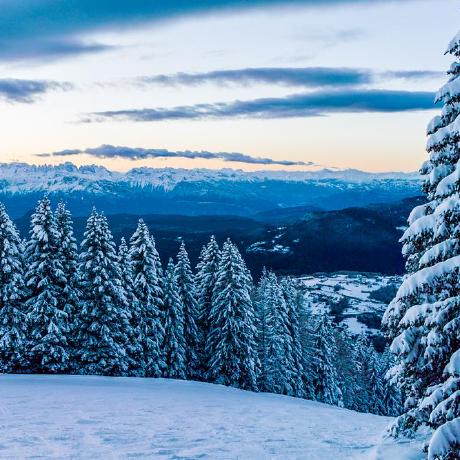 Robol Leonardo Robol Github - HD Space Images for Desktop