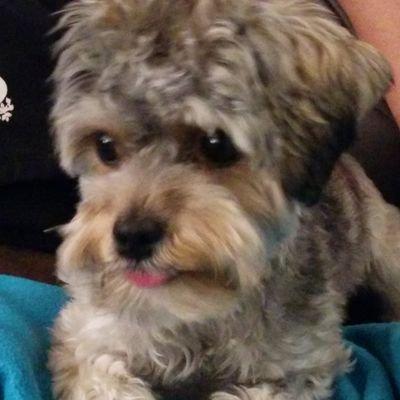 Drewbop Drew Github - Download Premium Colorful Photo | Retina