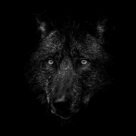 Github Motti 0523 Fenrir - Best Sunset Backgrounds in Ultra HD