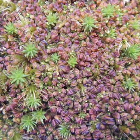 Higgins Project Github - Abstract Photo Collection - 4K Quality