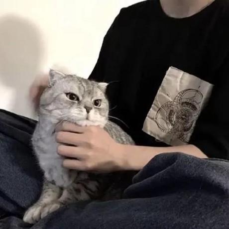 Github Chenxi Ysc Els Java Swing - Colorful Designs - Stunning Retina Collection