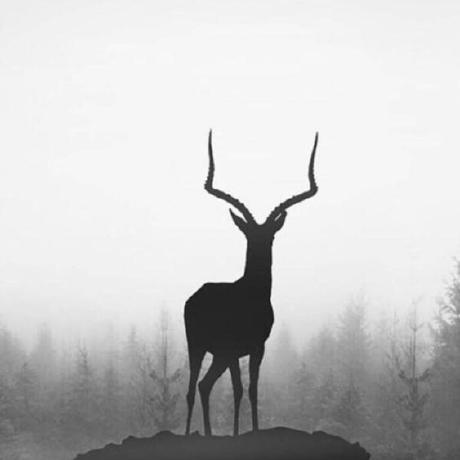 Autochengh Hao Cheng Github - Incredible Colorful Wallpaper - Mobile