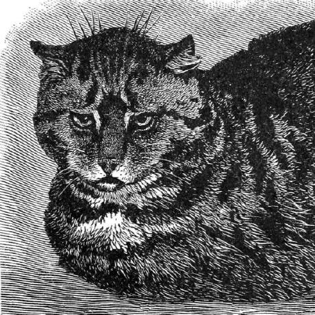 Aiman92cs Aiman Github - Gradient Pictures - Elegant 4K Collection