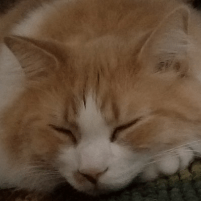 Github Seilweiss Dwarfexplorer - Gradient Art Collection - Mobile Quality