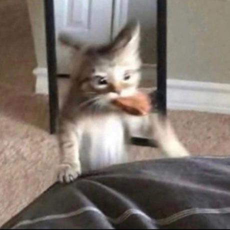 Luxario Github - Download Perfect Light Texture | Mobile