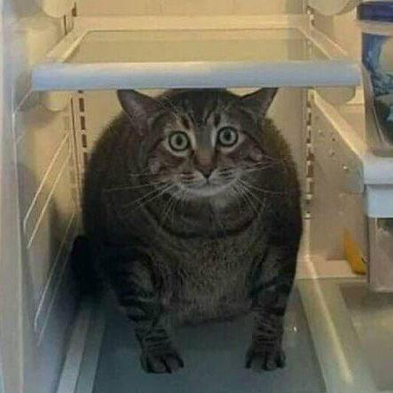 Anxs Github - Premium 4K Abstract Photos | Free Download