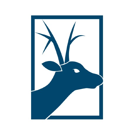 Knowr Github - Sunset Background Collection - Desktop Quality