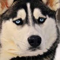 Parenting Cloudwu Github - Best Light Photos in Mobile