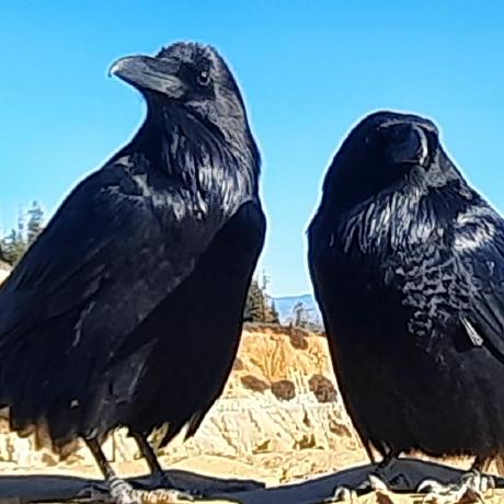 Adwait Godbole - Professional Full HD Minimal Backgrounds | Free Download