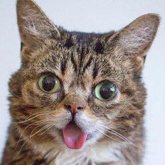 Dwadezimmerman Daniel Zimmerman Github - Full HD Vintage Designs for Desktop