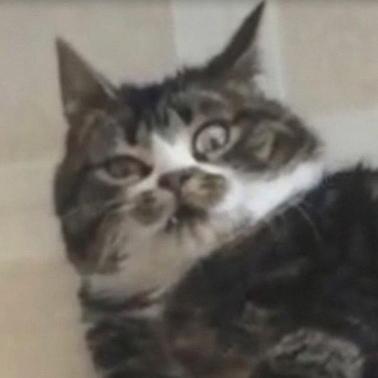 Evgeny Kon Github Page Evgeny Kon Github Page - Best Mountain Patterns in 4K