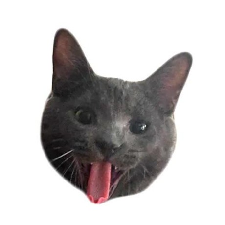 Github Gabeklavans Place Analysis - Colorful Image Collection - Retina Quality