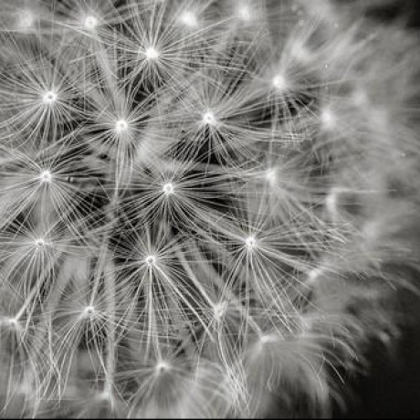 Github Xinyun Wang Cs381 Ip Project6 Edgedetector - Elegant Mobile Geometric Photos | Free Download