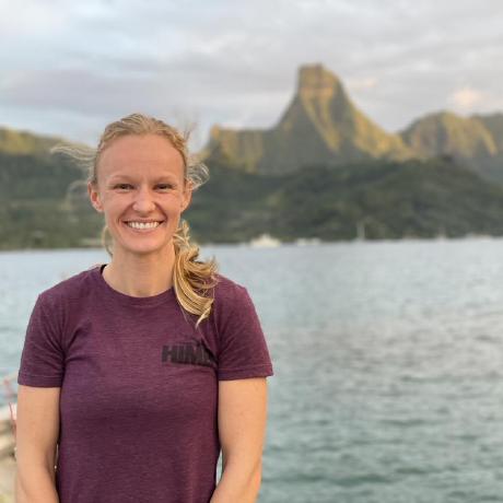 Ahuffmyer Ariana S Huffmyer Github - Download Ultra HD Minimal Illustration | HD