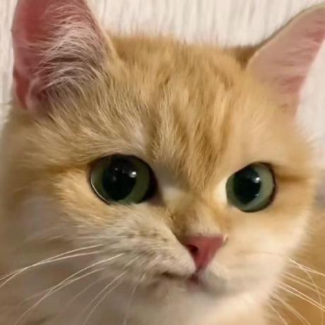 Github Wilinz Webvpn Guet Wrd Webvpn Url - Dark Designs - Stunning High Resolution Collection