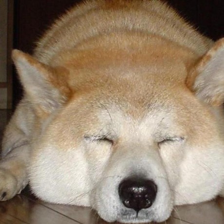 T Nakatani Tlud Github - Mountain Images - Amazing HD Collection