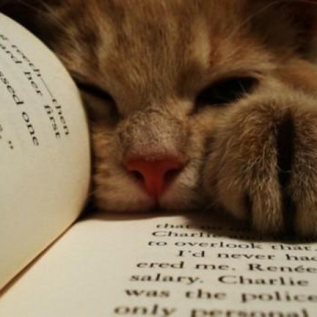 Github Dansen Reading Chromium The Official Github Mirror Of The - Elegant HD Dark Backgrounds | Free Download