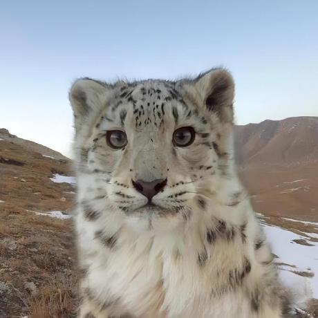 Github Auzhoomlee Waking Waking Project - Modern Geometric Design - Retina