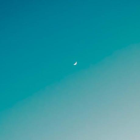 Syn Issue 14 Xinroom Go Portscan Github - HD Colorful Wallpapers for Desktop