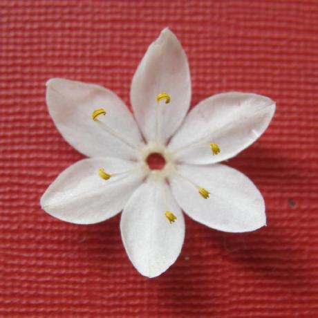 T Kiuchi Github - Classic Sunset Picture - HD