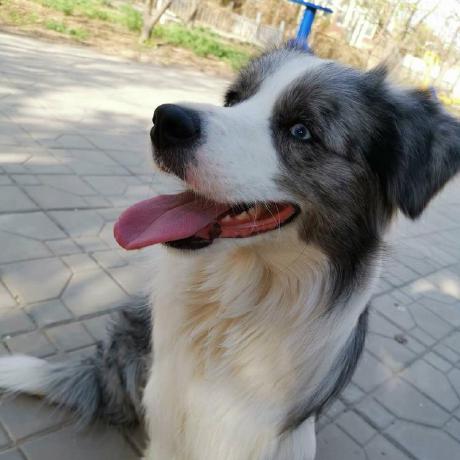 Yiwen Pvt Dev Ethan Github - Ultra HD Mountain Photos for Desktop