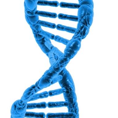 Github Sigal Lab Lin Colon Assembloids - Artistic Retina Abstract Textures | Free Download