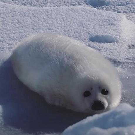 Benben Code Github - Best City Wallpapers in Desktop