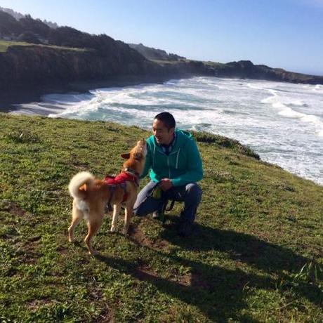 Github Hyosubkim Bayes Toolbox Bayes Toolbox - Download Creative Ocean Art | 4K