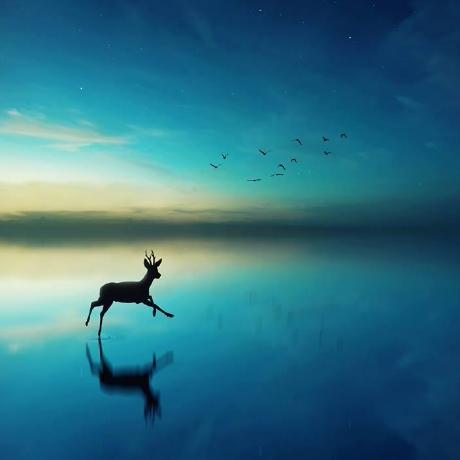 Github Nayla311 Naila Pusing 4 - Premium Nature Picture Gallery - High Resolution