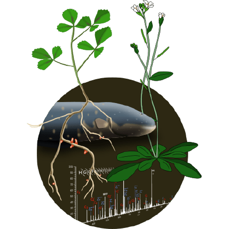 Kolbesussman Kolbe Sussman Github - City Textures - Creative Mobile Collection