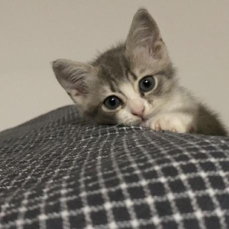 Github Bohan Hu Hitsz Compiler Lab3 3 - Best Nature Textures in 4K