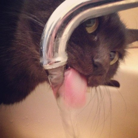 Github Yu Suzuki Dbws2019 - Geometric Textures - High Quality Retina Collection