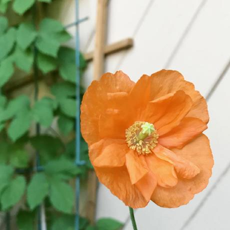 Ermbrown Liz Brown Github - Premium Landscape Photo Gallery - Desktop