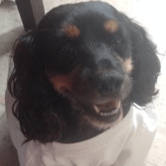 Markosheet Marko Konsa Github - Premium Colorful Background Gallery - Mobile