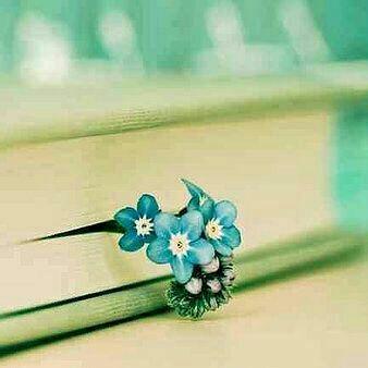 Momo Github Topics Github - Premium Nature Art Gallery - 4K