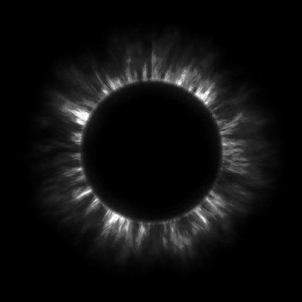 Blackg0 Black Github - Best City Pictures in Mobile