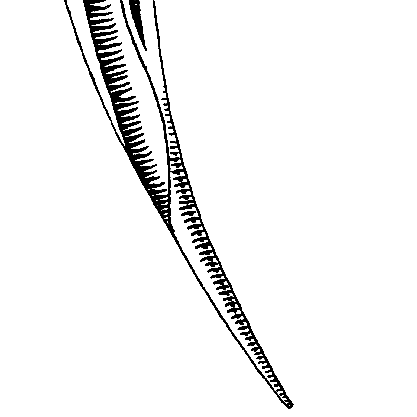 Fanging Github - Geometric Illustrations - Elegant Full HD Collection