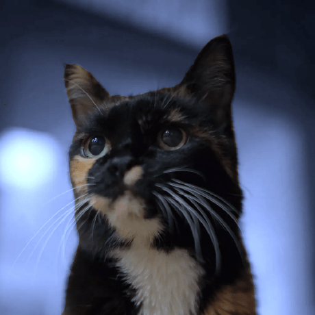 Cory Bennett Zocdoc Github - Space Textures - Elegant Mobile Collection