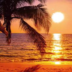 Nk Dmz Github - Perfect Sunset Picture - HD