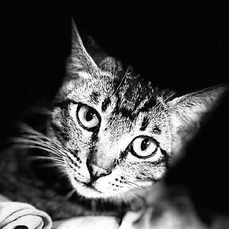 Mingu Hwang Github - Ocean Illustrations - Beautiful Ultra HD Collection