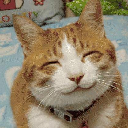 Github Faithbeam Ymousebuttoncontrol X Mouse Button Control Clone - Premium Gradient Pattern Gallery - Ultra HD