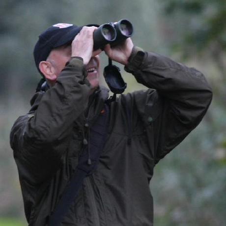 Github Millanek Fineradstructure A Package For Population Structure - Premium Gradient Photo Gallery - HD